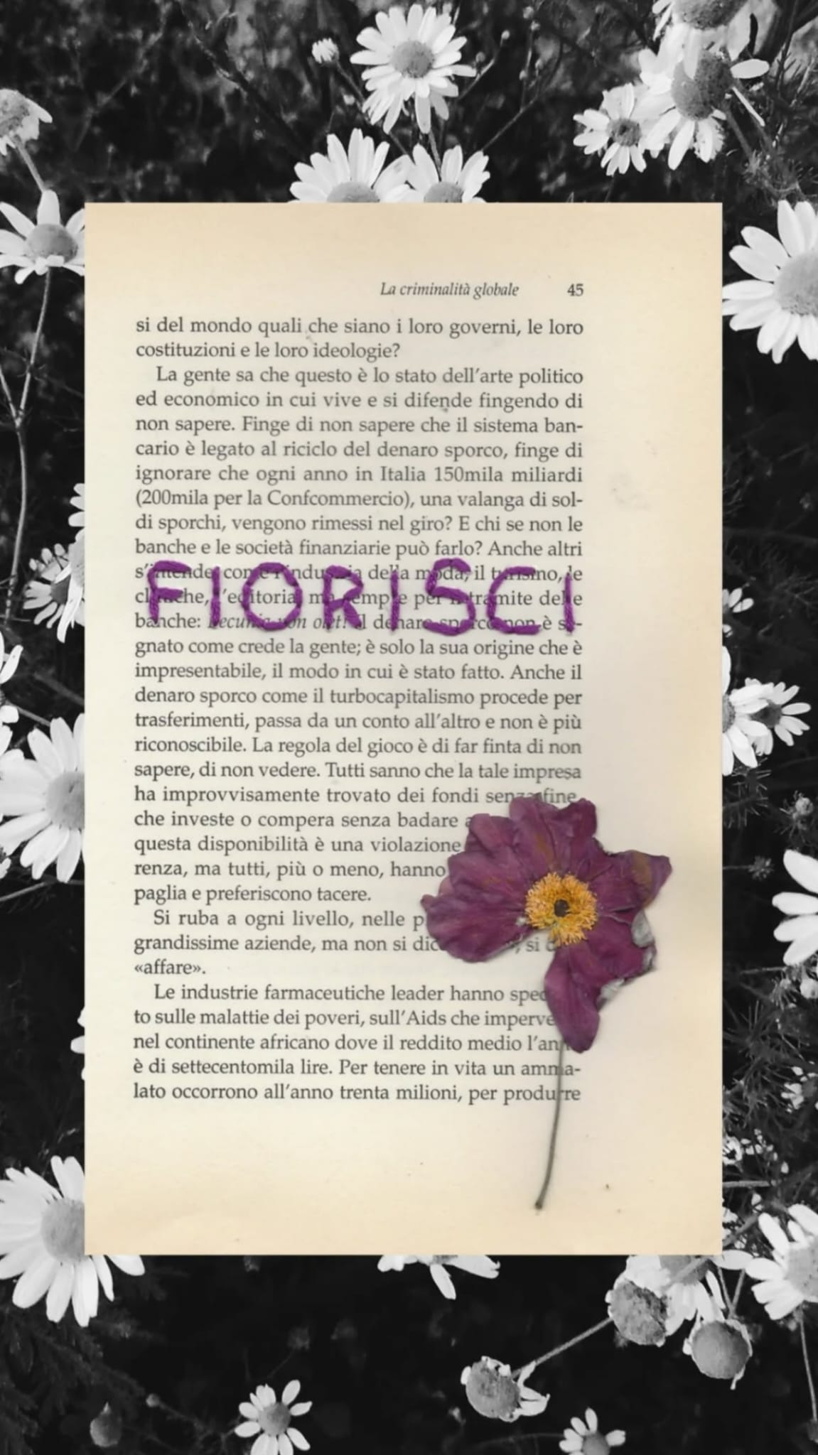 Fiorisci